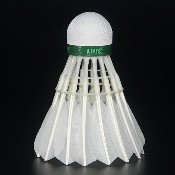 Pluimbal se pluimvee-uitdaging