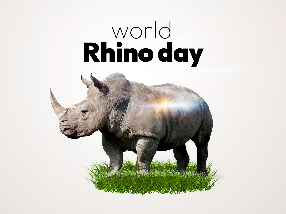 #PODCAST This week's #Greenscene looks back at the history and significance of World Rhino Day #sabcnews episode artwork