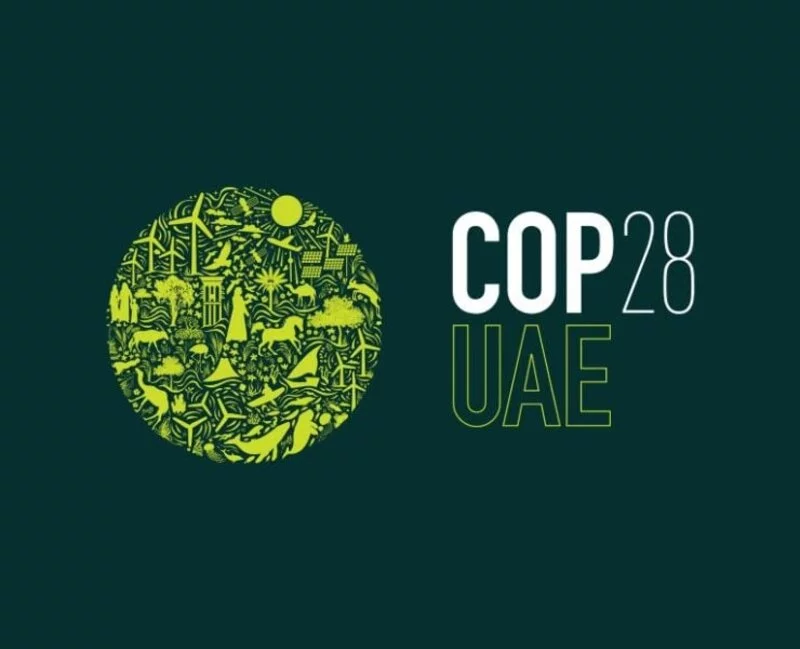 #PODCAST SA likely to seek investment from more developed countries as #COP28 gets underway in Dubai today #sabcnews episode artwork
