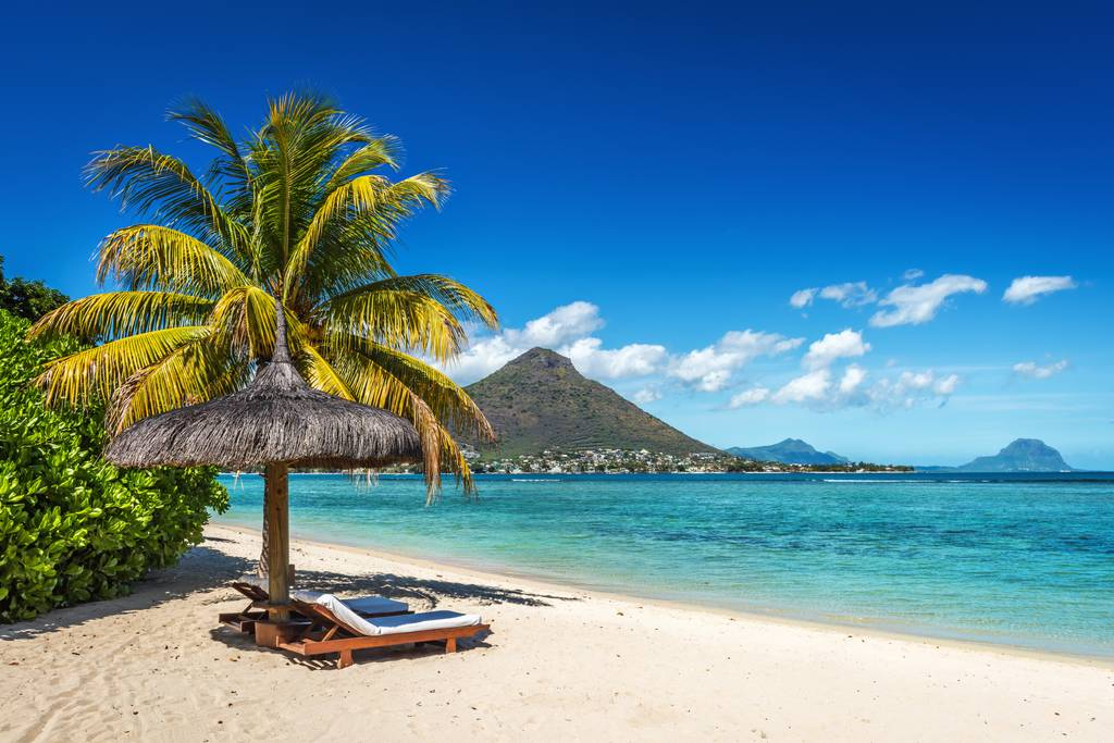 #PODCAST Local travel agent explains why South Africans are opting for Maha Shivarathri pilgrimages to Mauritius rather than India #sabcnews episode artwork