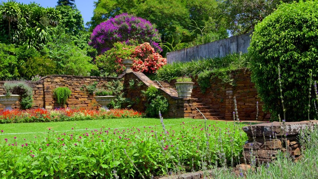 #PODCAST "Durban Coalition" prepare to launch a plan of action towards transforming the city at the Botanic Gardens today #sabcnews episode artwork