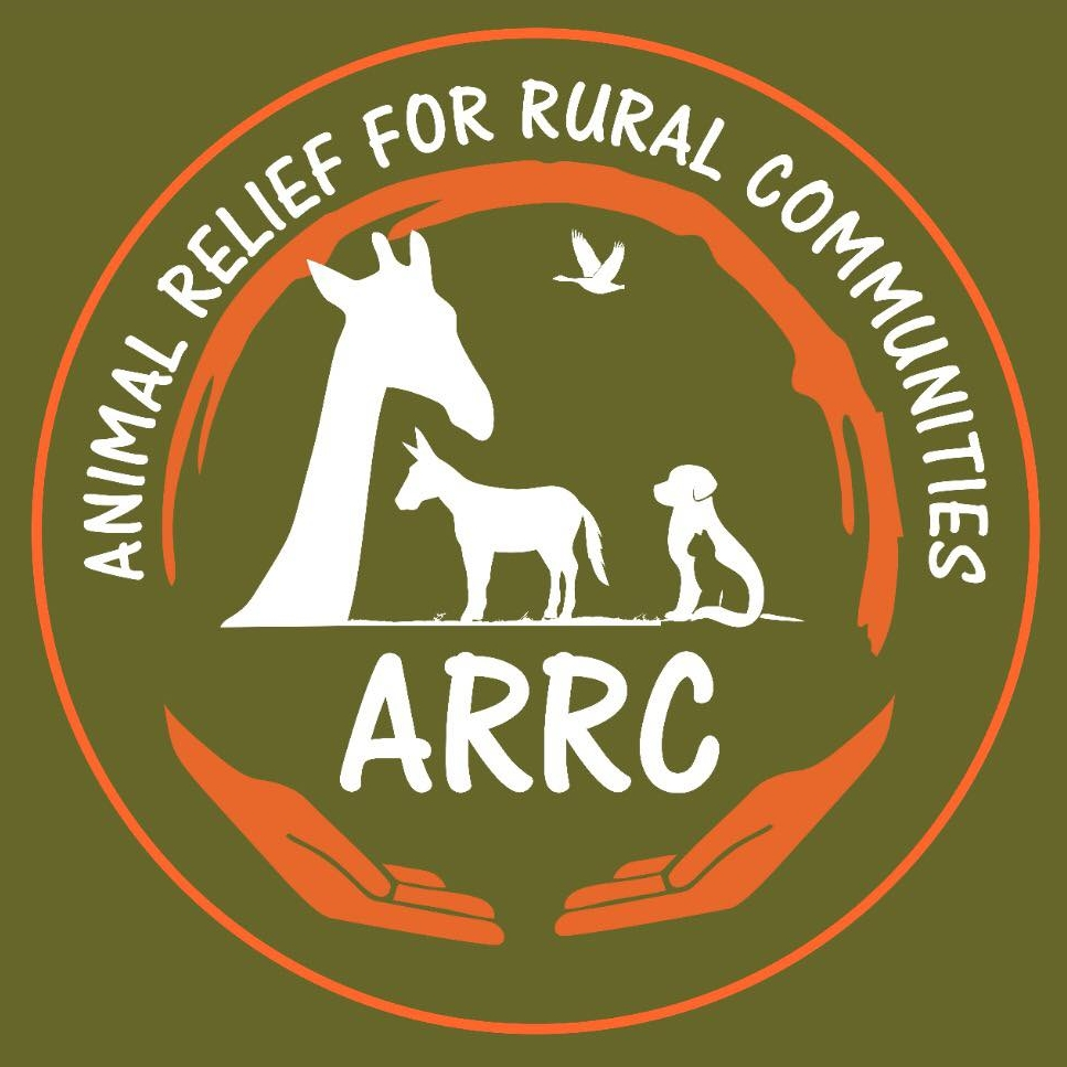 #PODCAST First-of-its-kind initiative launched in 3 countries to empower civil society in sustainably controlling rabies #sabcnews episode artwork