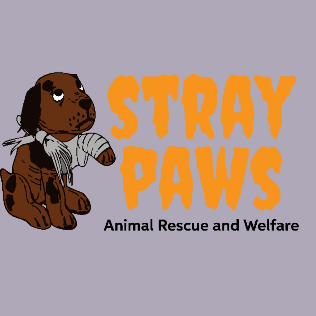 #PODCAST Stray Paws South Africa set to launch four sterilisation clinics in Welbedacht #sabcnews episode artwork
