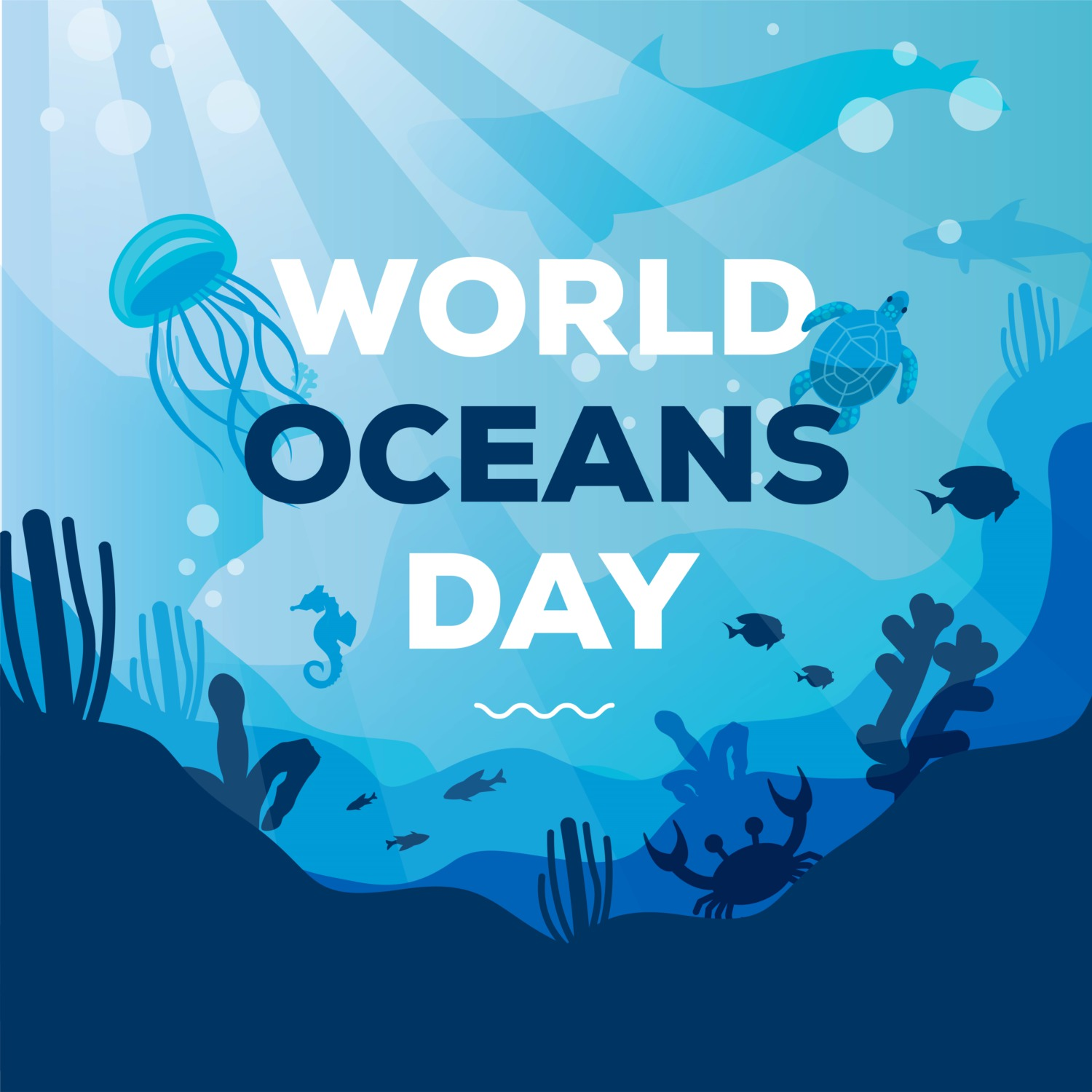 #PODCAST World Ocean Day returns to Scottburgh this year, held under the theme "Catalyzing Action for Our Ocean & Climate" #sabcnews episode artwork