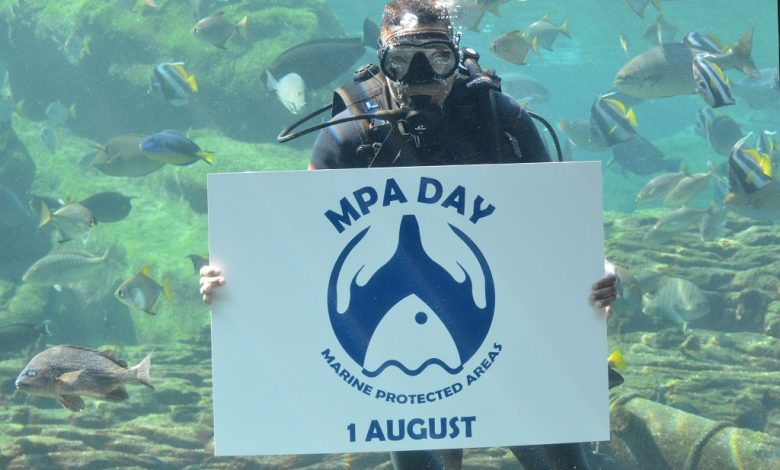 #PODCAST MPA Day 2024: Experts urge government to enforce stricter regulations around preserving marine ecosystems #sabcnews episode artwork