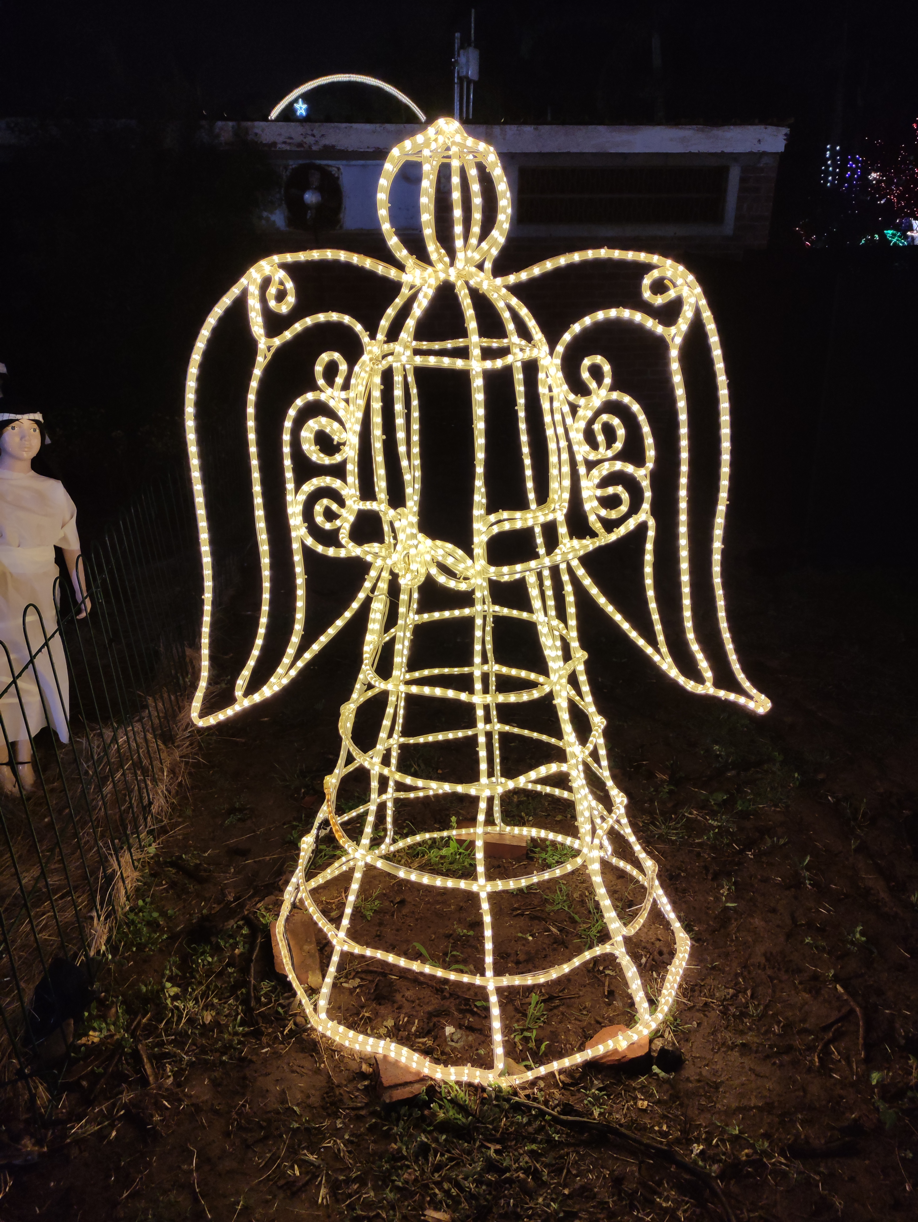 #PODCAST The Durban Botanic Gardens Trail of Lights returns this year with a host of stunning new displays #sabcnews episode artwork
