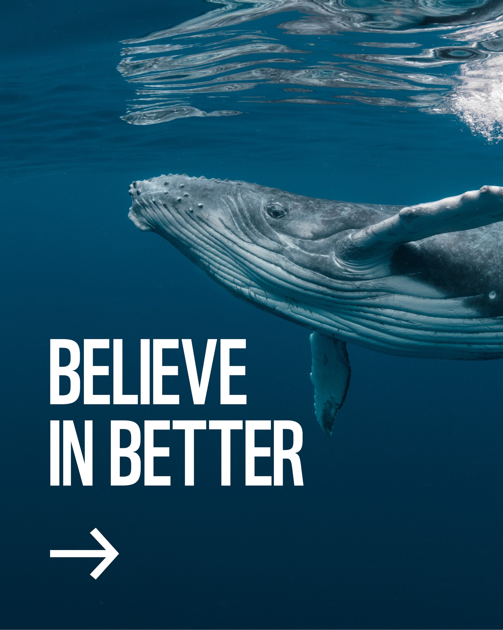 #PODCAST WWF SA launch the "Believe in Better" campaign to encourage people to prioritise environmental sustainability #sabcnews
