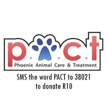 #PODCAST P.A.C.T appeal for assistance with building materials following a devastating blaze at their shared premises recently #sabcnews episode artwork