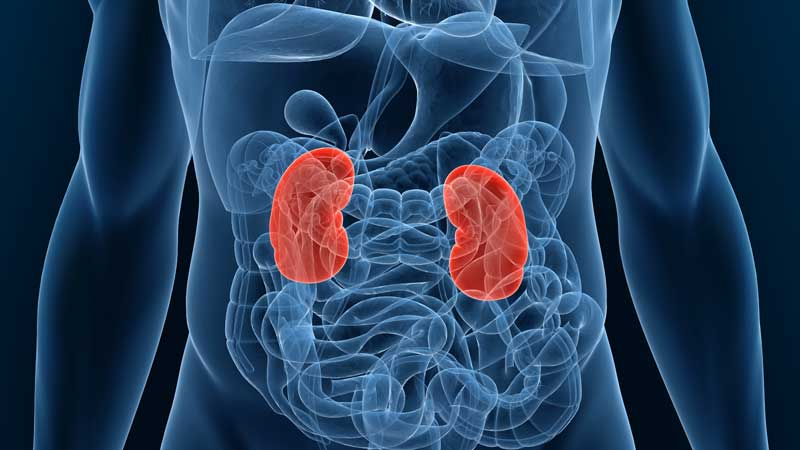 #PODCAST An estimated five million people have kidney disease, with 10,000 succumbing to the disease each year #sabcnews episode artwork