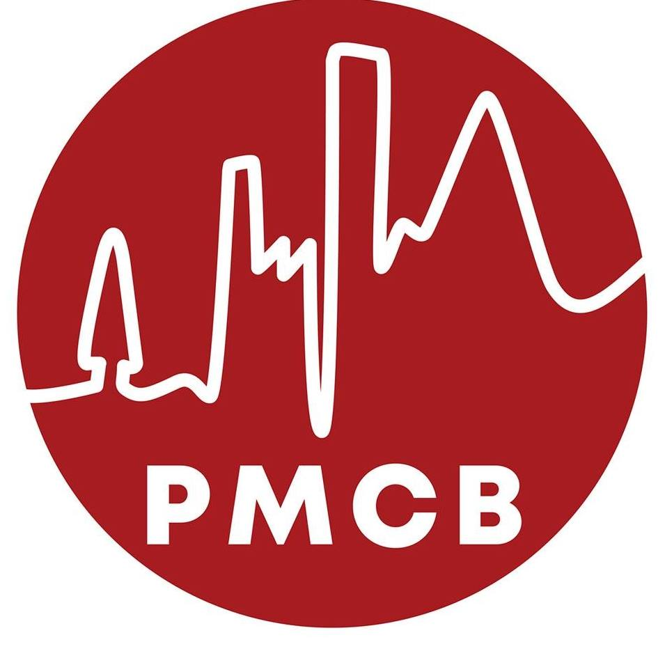 #PODCAST ELECTIONS: PMB and Midlands Chamber of Commerce hope for leadership with a strong stance against corruption #sabcnews episode artwork
