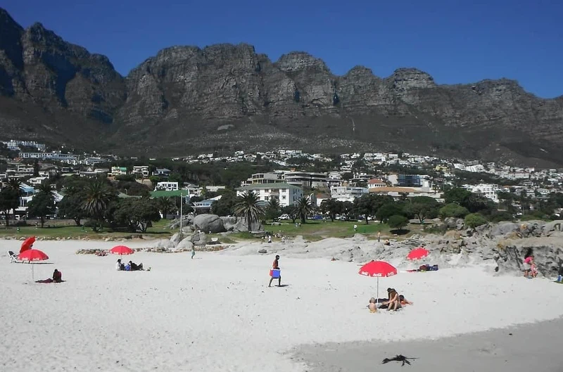 #PODCAST City of Cape Town discuss the success of its "Identikidz" beach safety initiative #sabcnews episode artwork