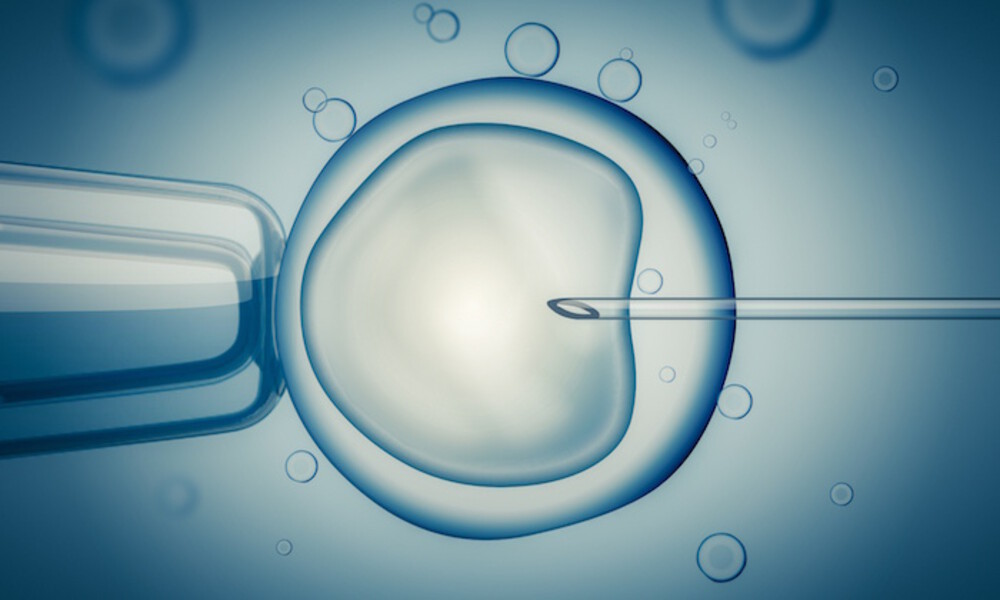 #PODCAST Latest figures show that infertility affects one in every six couples in South Africa #sabcnews episode artwork