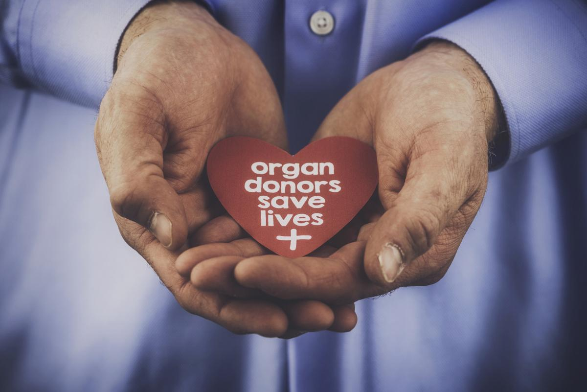 #PODCAST Organ Donor Foundation urge more South Africans to become registered organ donors #sabcnews episode artwork