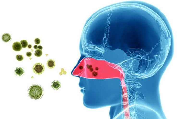 #PODCAST SA scientists are now using Artificial Intelligence to detect and classify pollen spores #TechnoTouch #sabcnews episode artwork