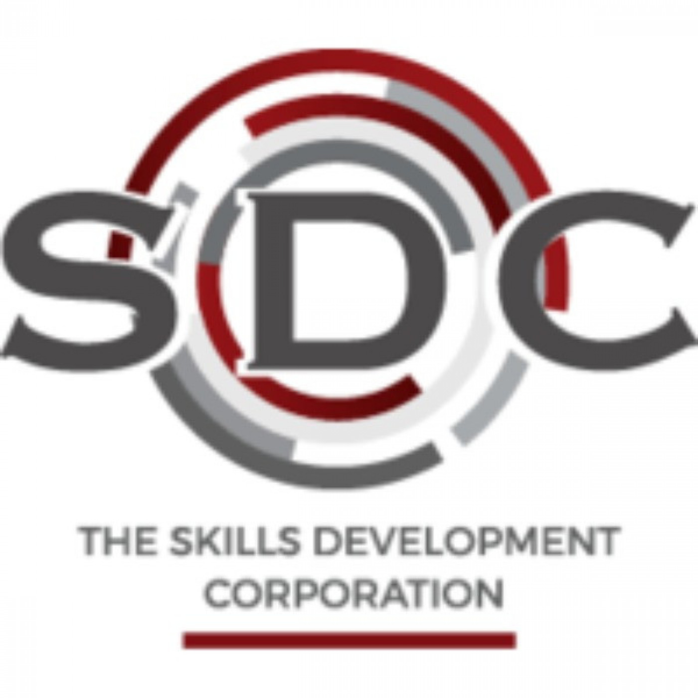 Importance of skills development