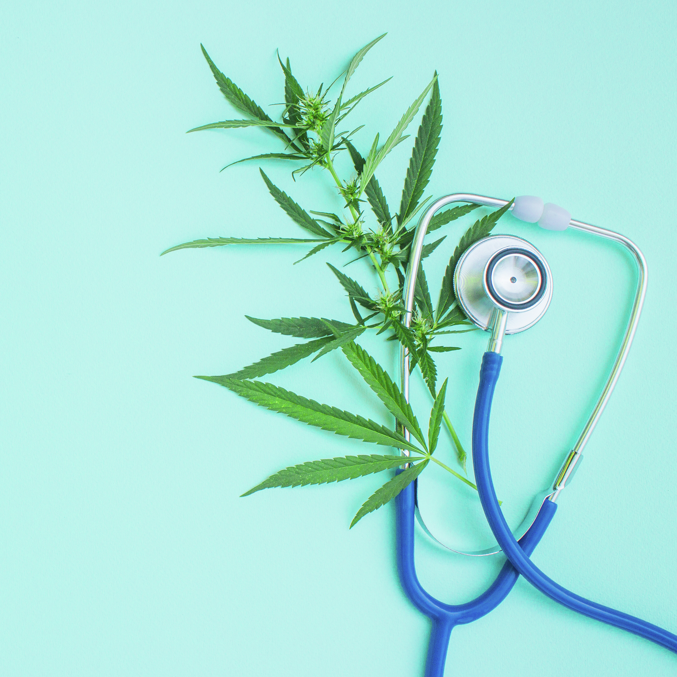 OP ELKE STRAATHOEK: IS DAGGA DIE NUWE WONDERKUUR? deur Jaco de Waal