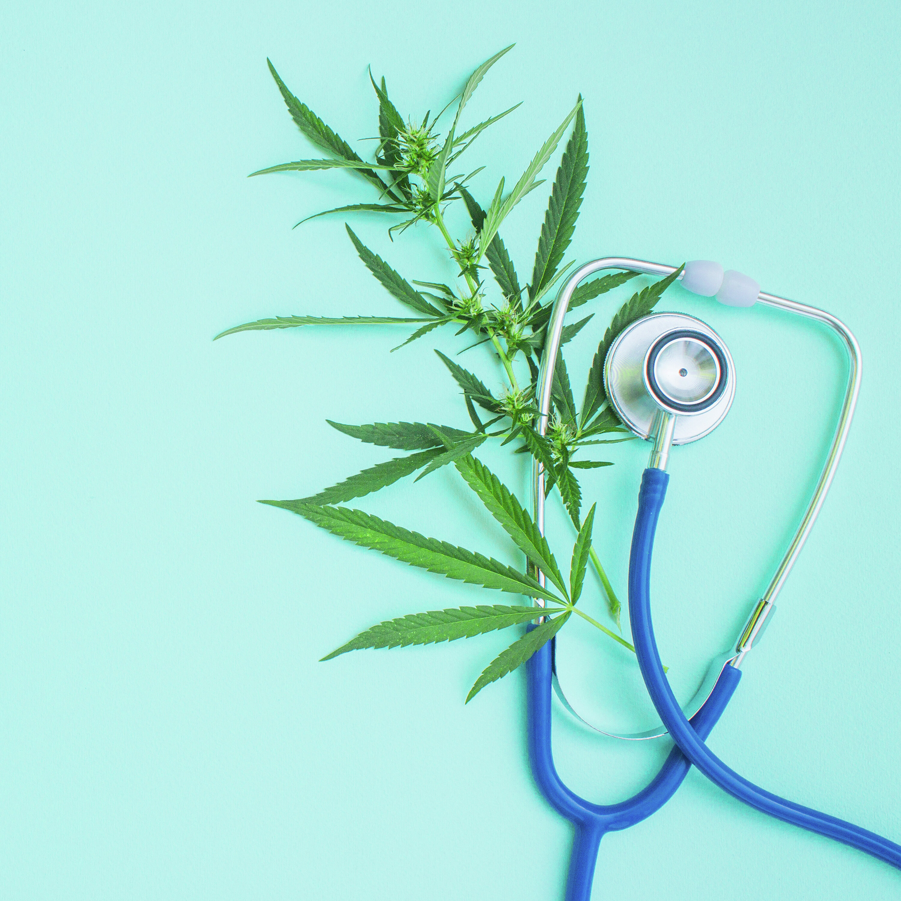 OP ELKE STRAATHOEK: IS DAGGA DIE NUWE WONDERKUUR? deur Jaco de Waal OP ELKE STRAATHOEK: IS DAGGA DIE NUWE WONDERKUUR? deur Jaco de Waal