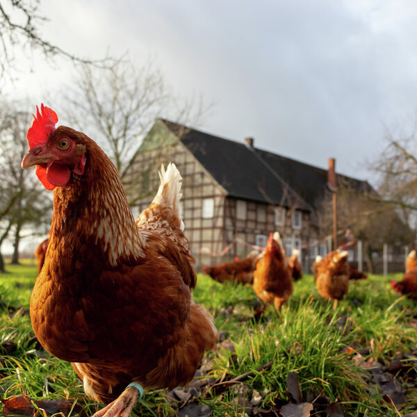 VRYLOOP: IS DIT WAARLIK “VRY”? deur Martelize Brink