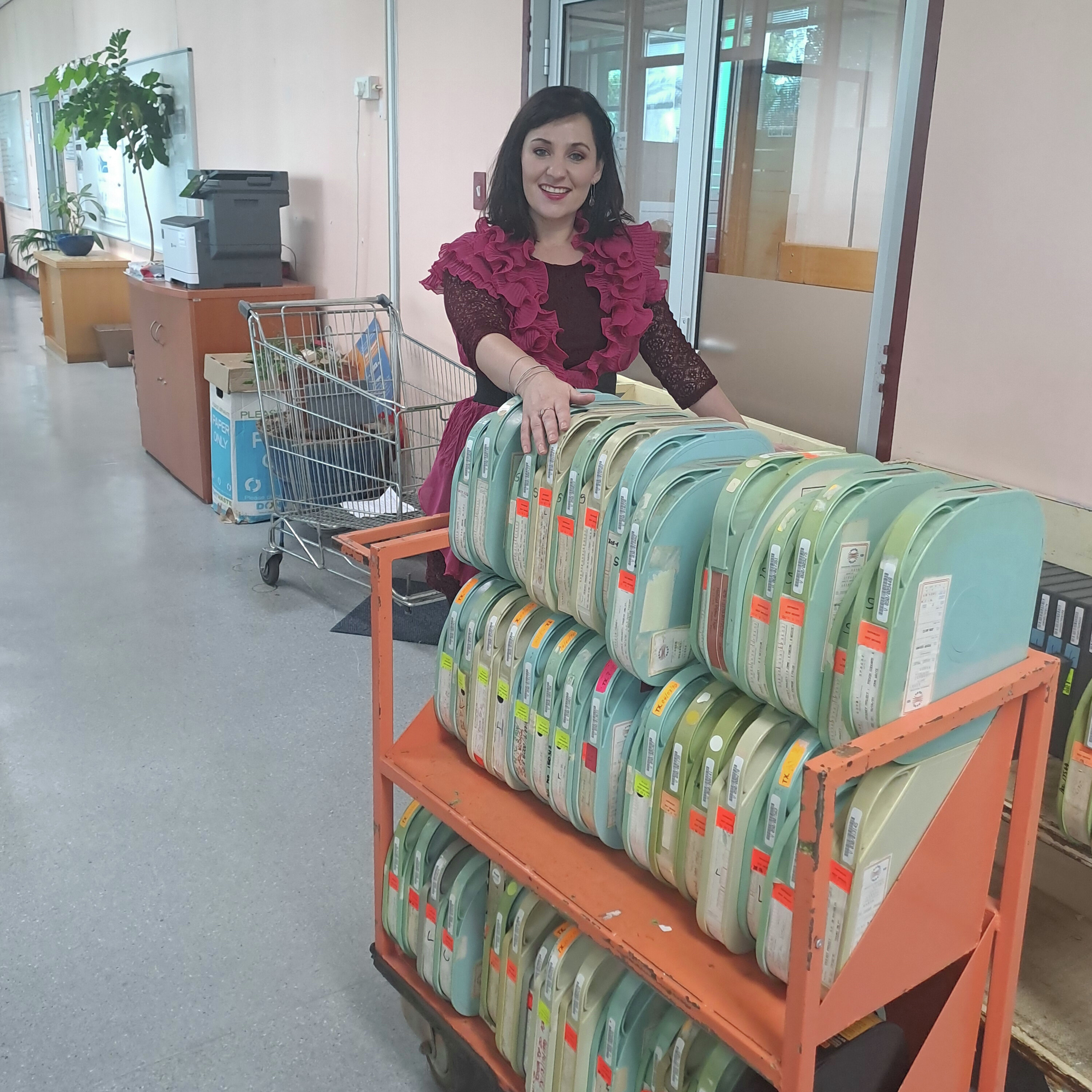 DIE SKATKIS VAN DIE SAUK deur Elsje van Jaarsveld DIE SKATKIS VAN DIE SAUK deur Elsje van Jaarsveld