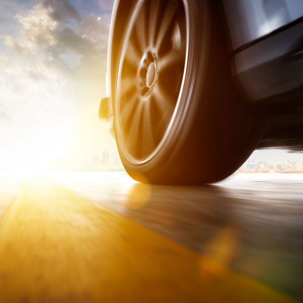 Wiele 15 November 2025