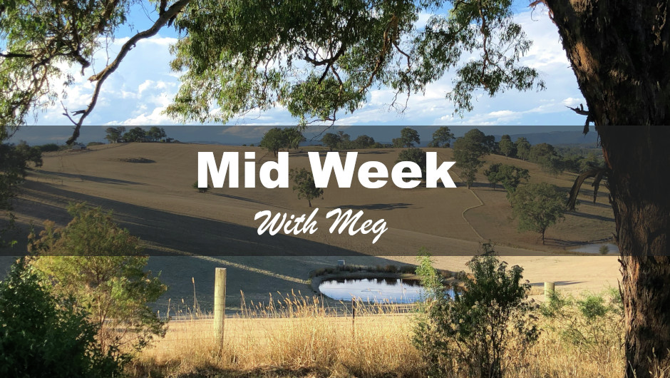 Midweek - 5-8-2026