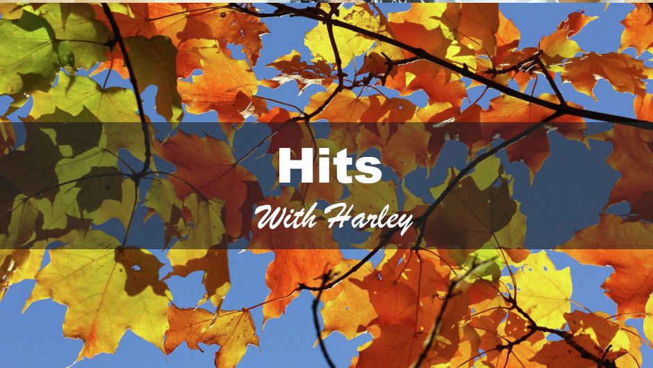 Hits | 23-8-2026