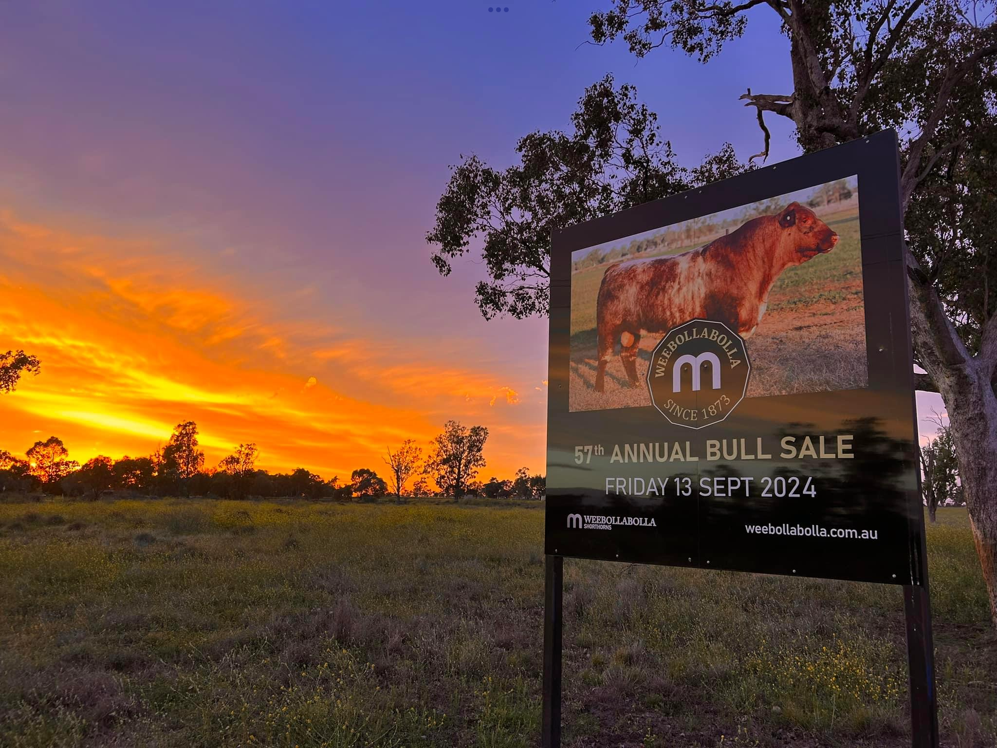 STA FM Rural News | 14-09-2024