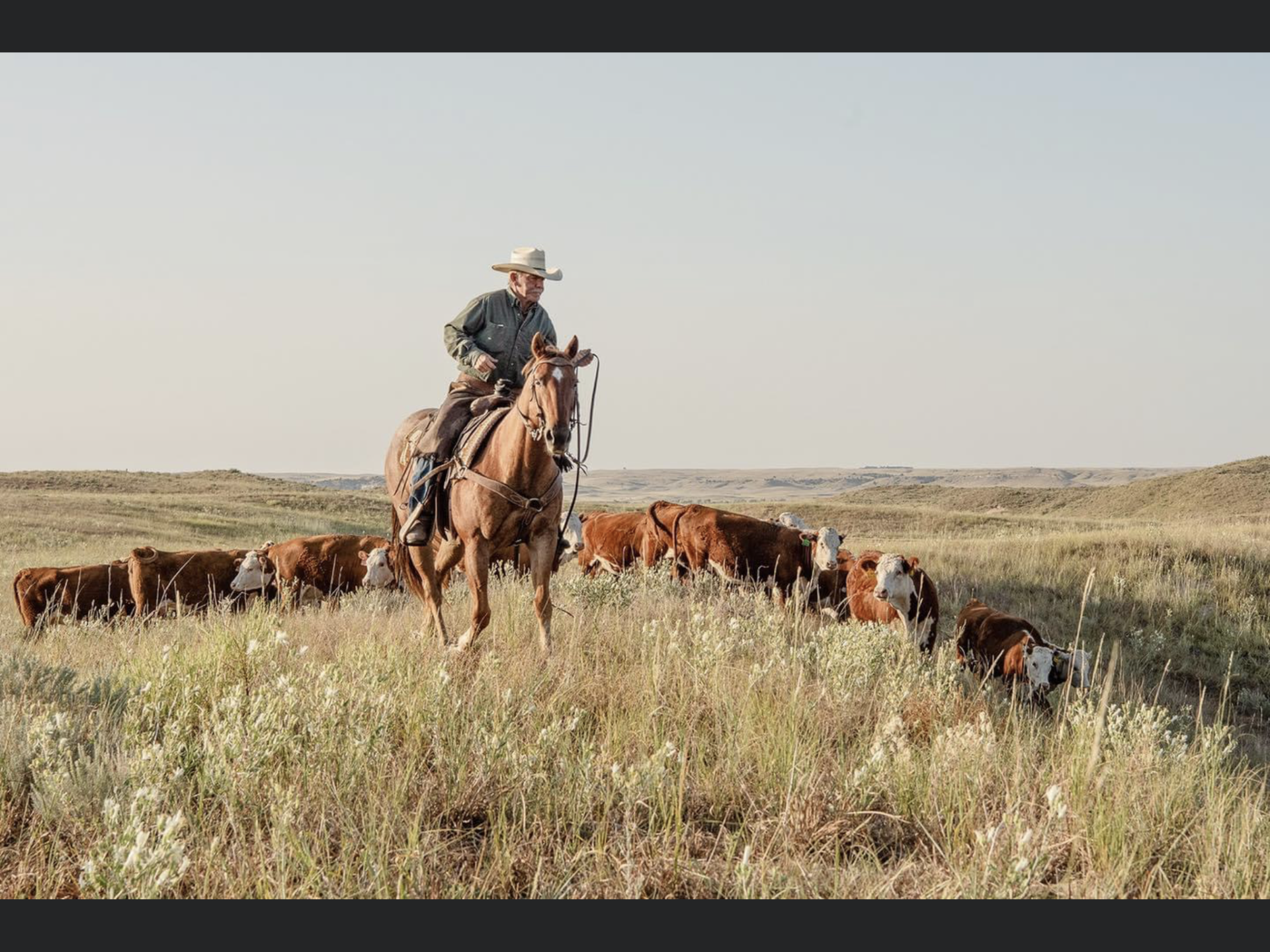 STA FM Rural News | 08-02-25