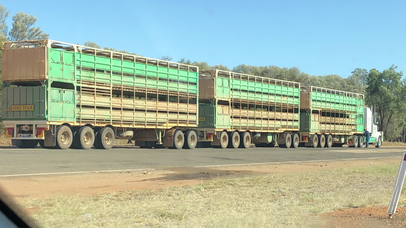 STA FM Rural News | 23-11-24