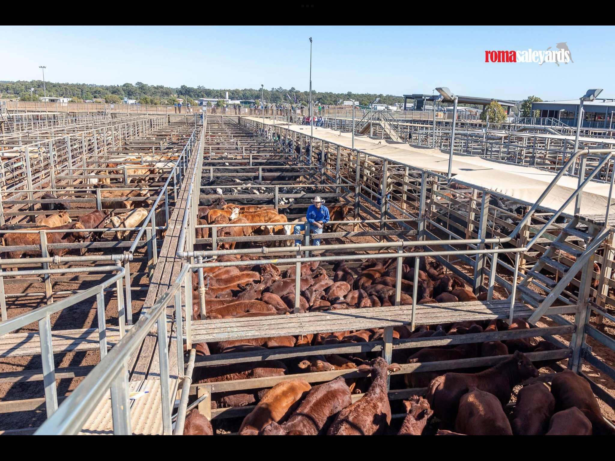 STA FM Rural News | 13-07-2024