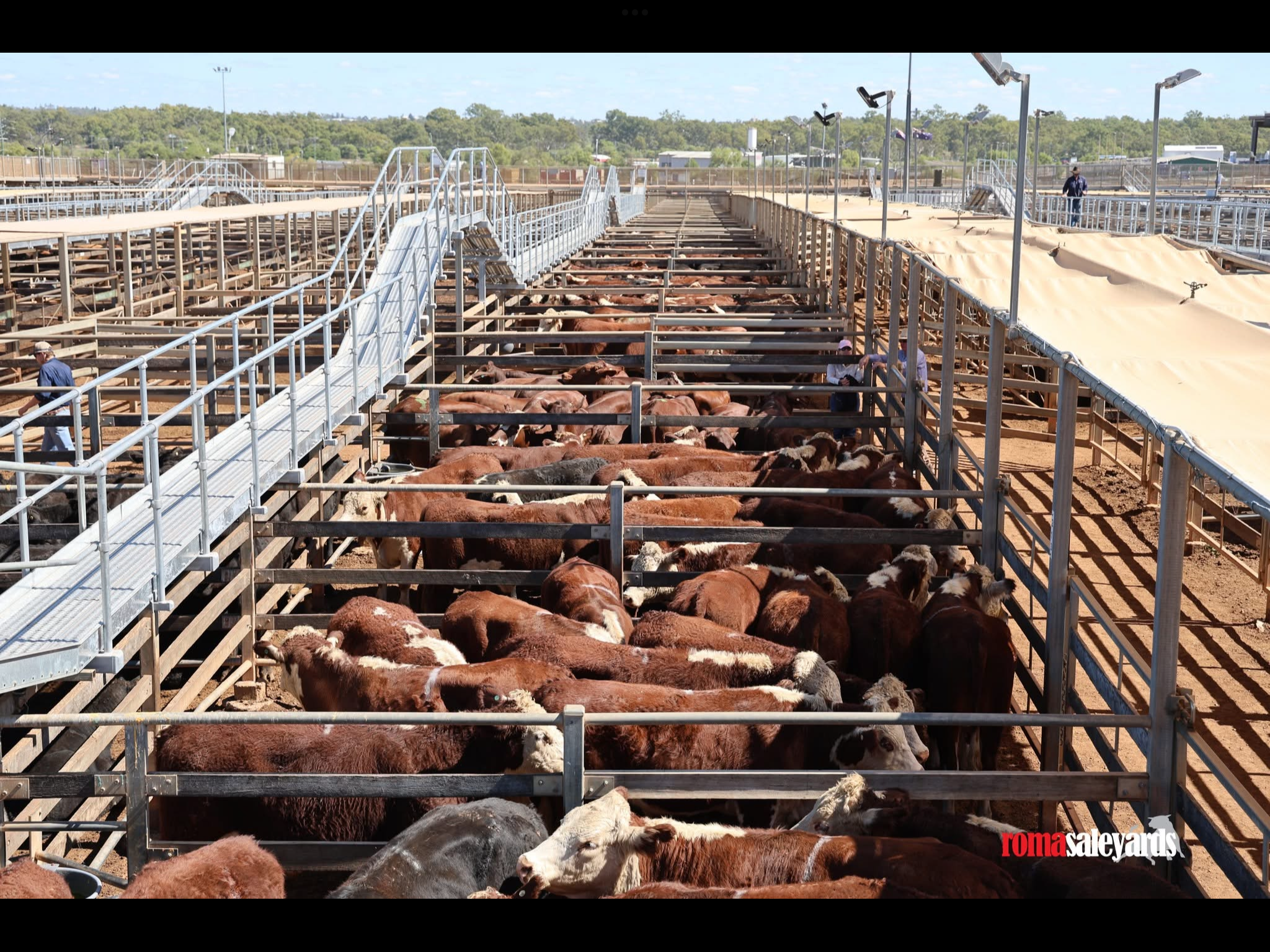 STA FM Rural News | 03-05-25