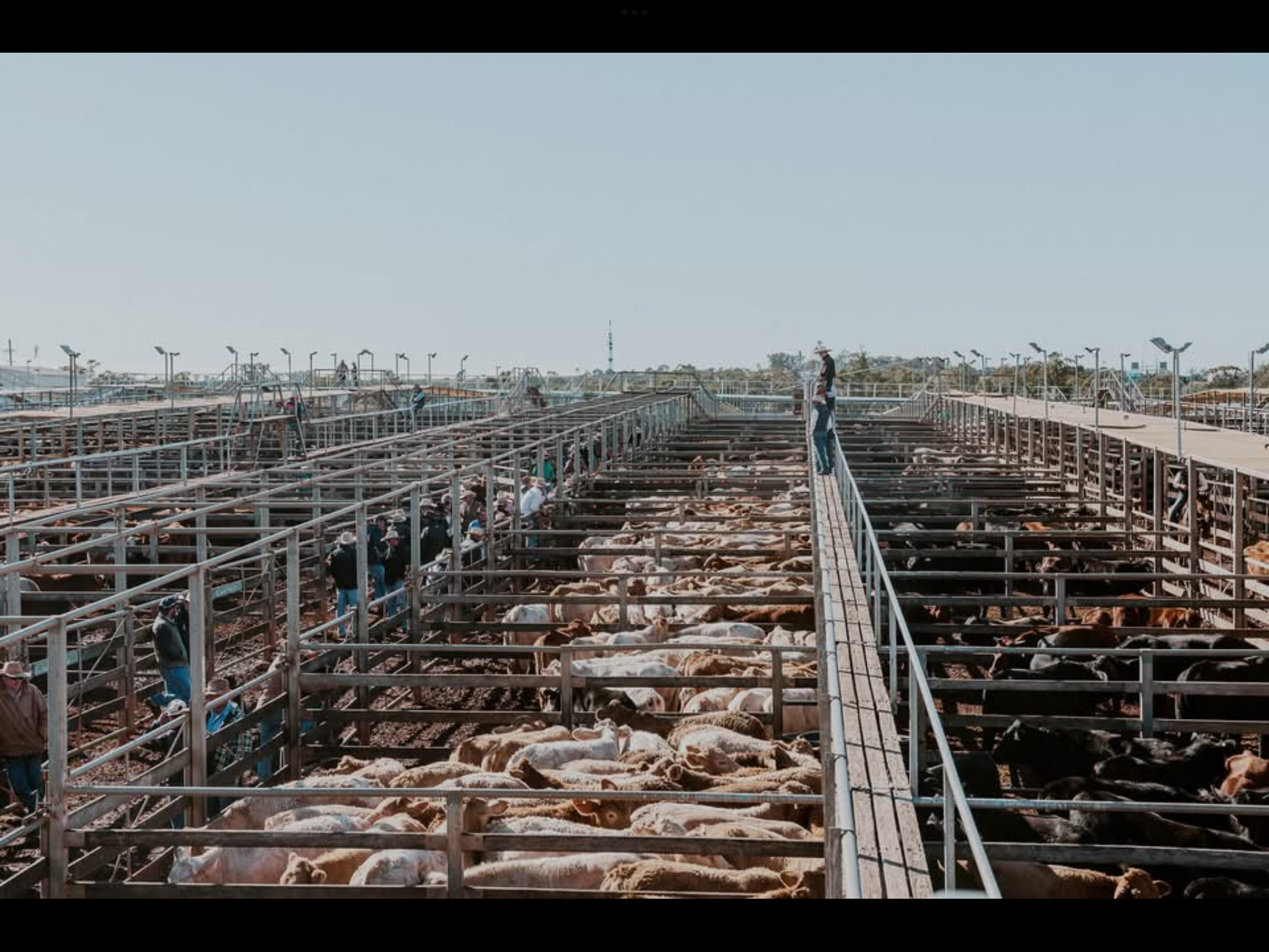 STA FM Rural News | 18-01-25