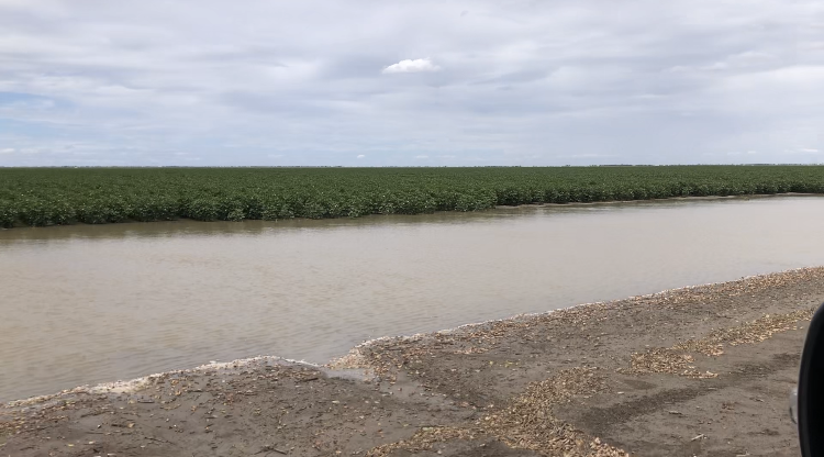 STA FM Rural News | 15-02-25