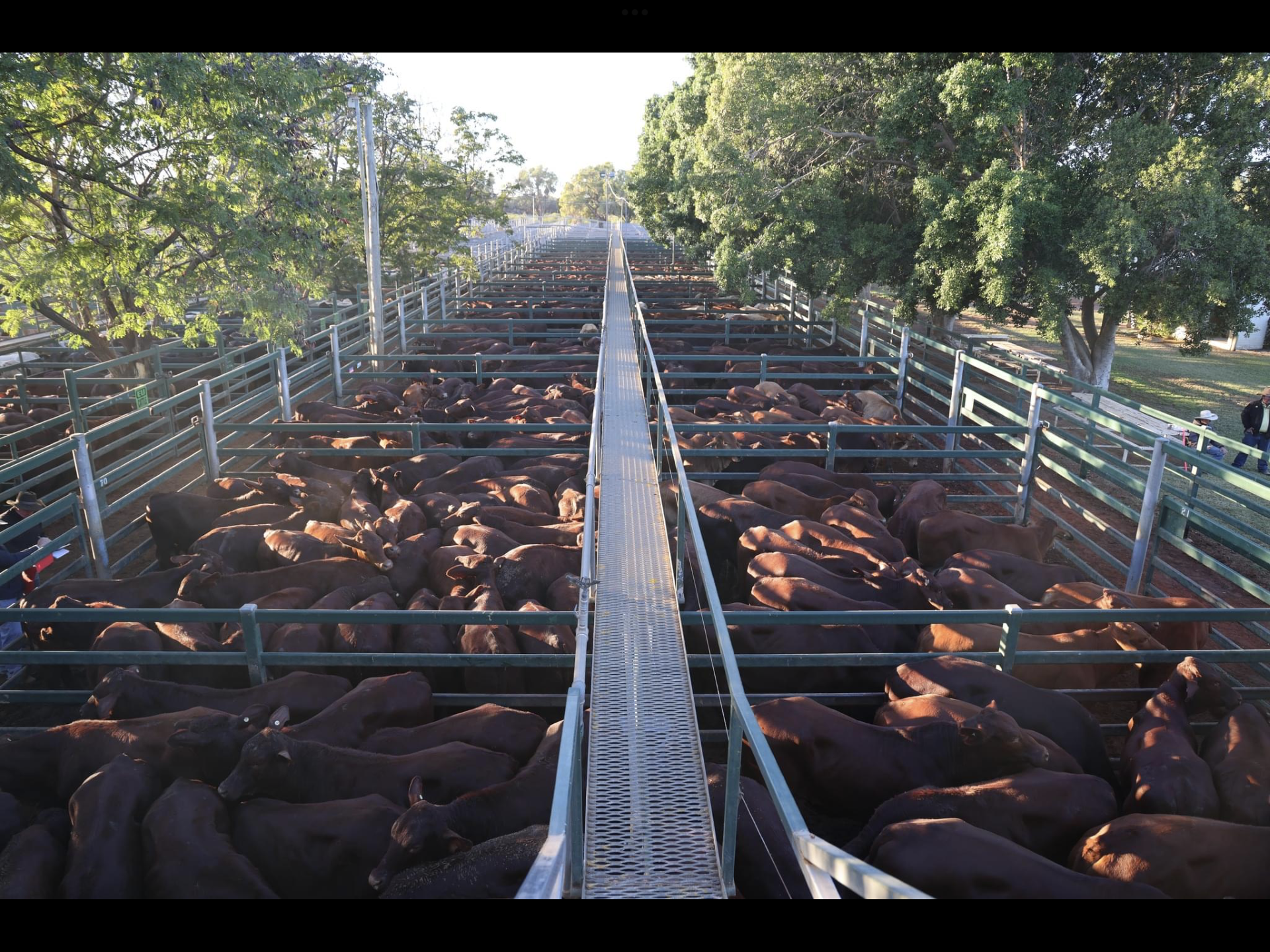 STA FM Rural News | 22-06-2024