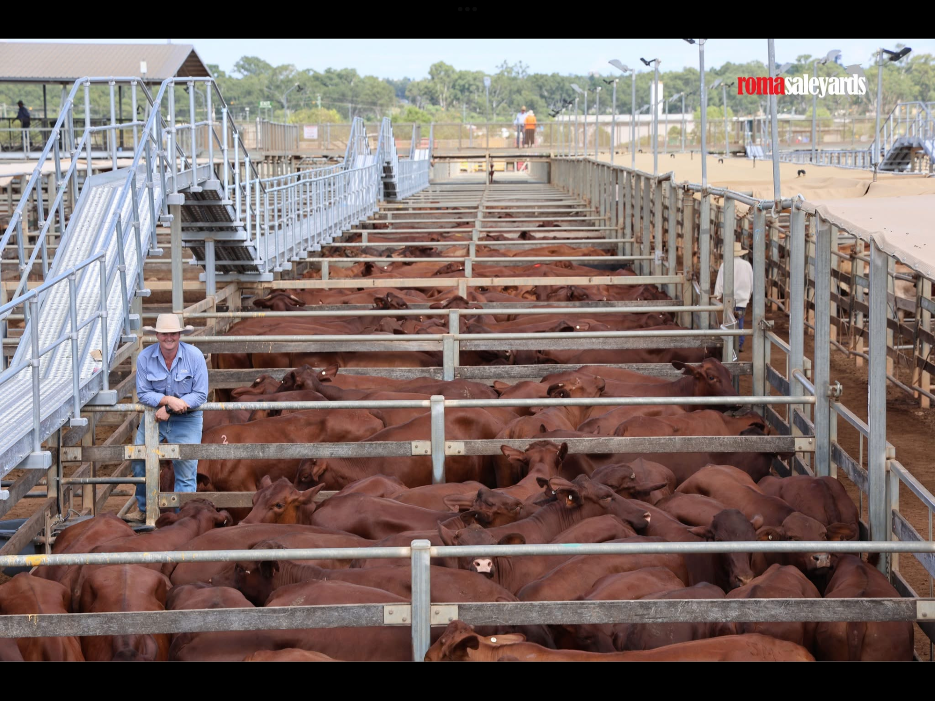 STA FM Rural News | 29-03-25