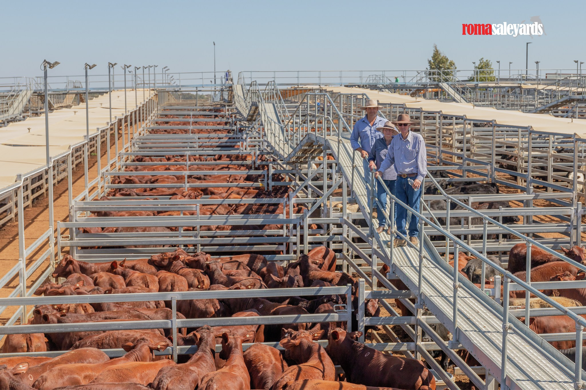 STA FM Rural News | 24-08-2024