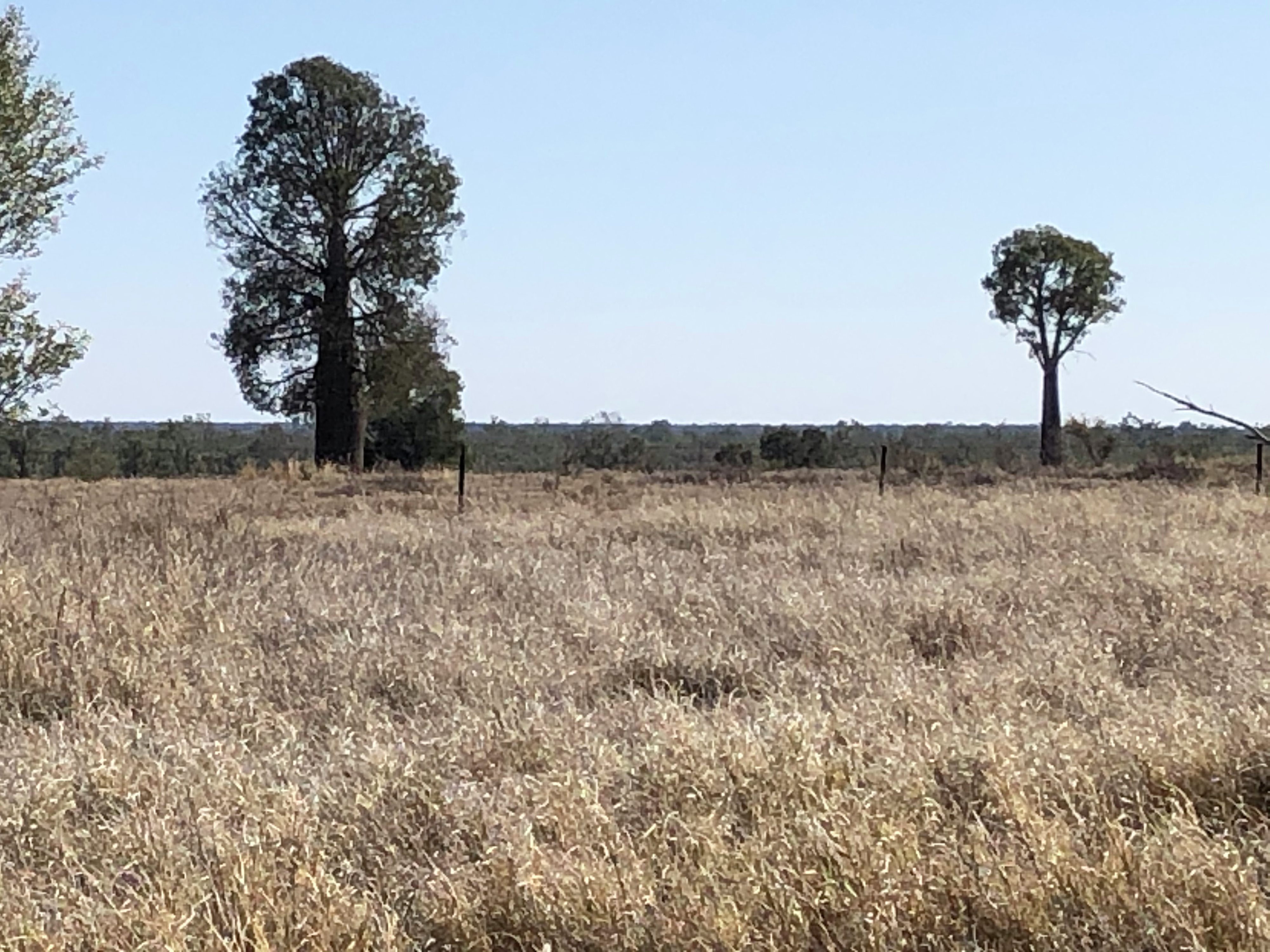 STA FM Rural News | 06-07-2024