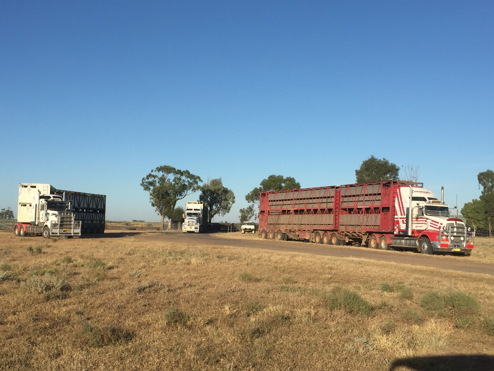 STA FM Rural News | 01-03-25