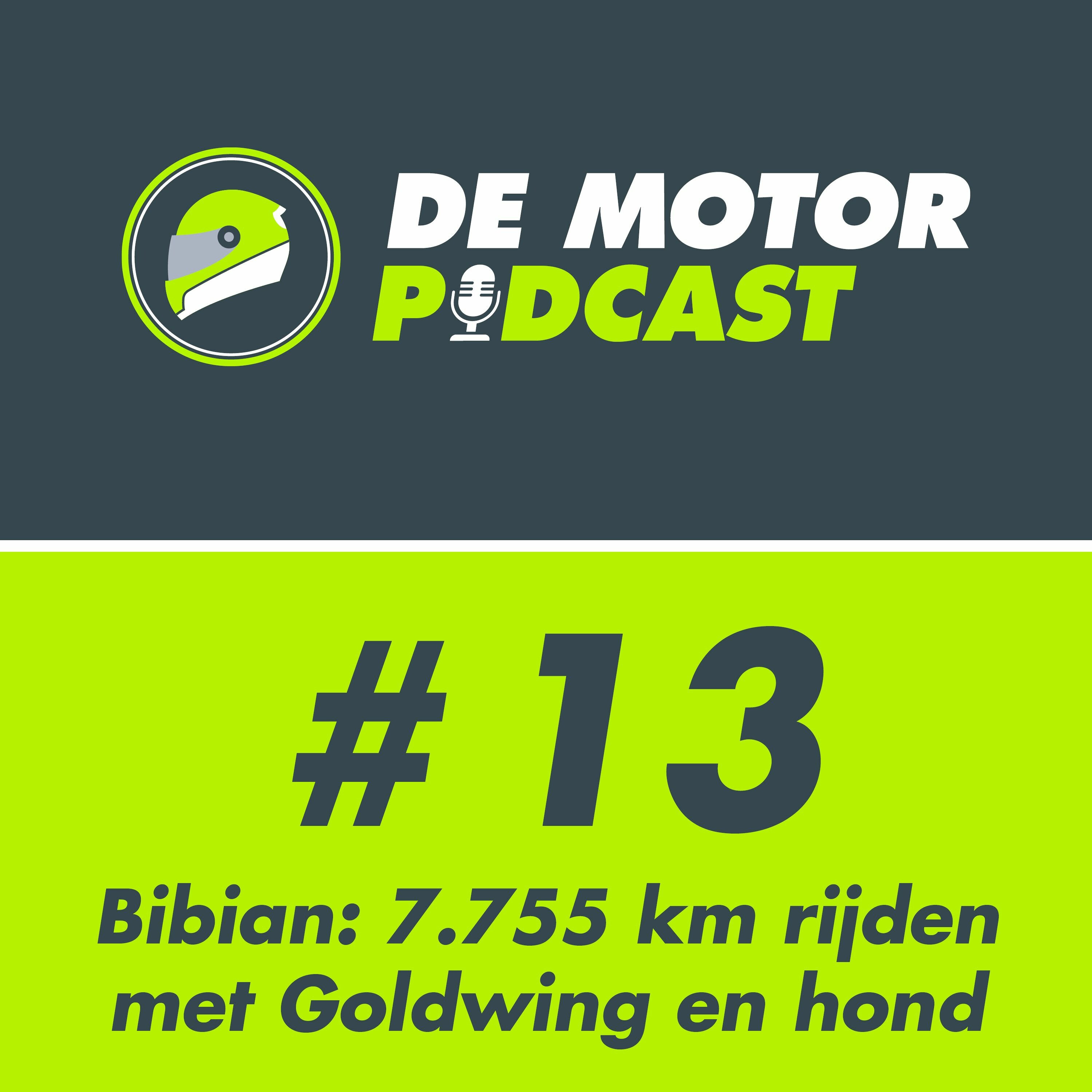 #013 Hond Binky rijdt mee op een dikke Honda Goldwing episode artwork