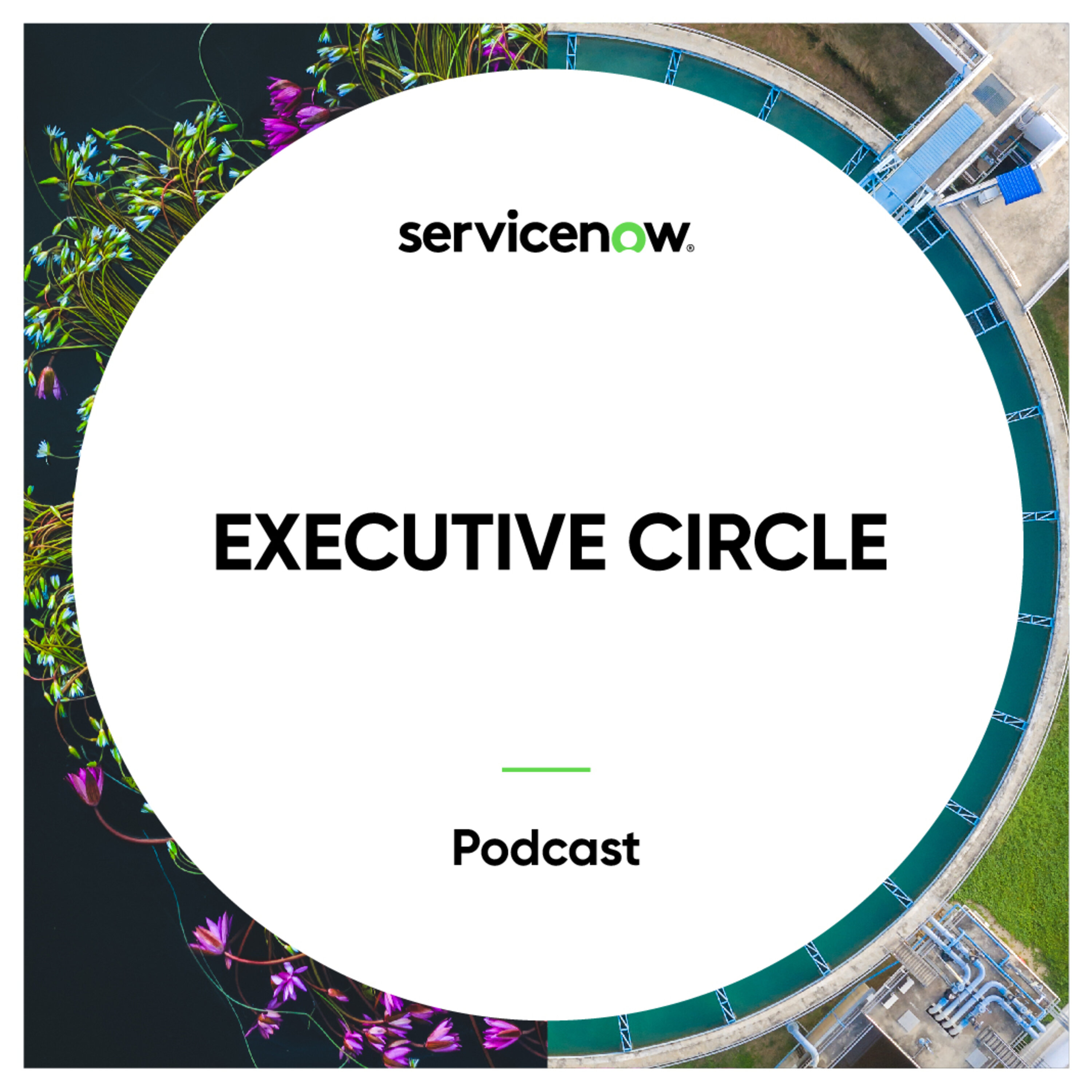 Episode Five: How to harness automation and AI as innovation enablers episode artwork