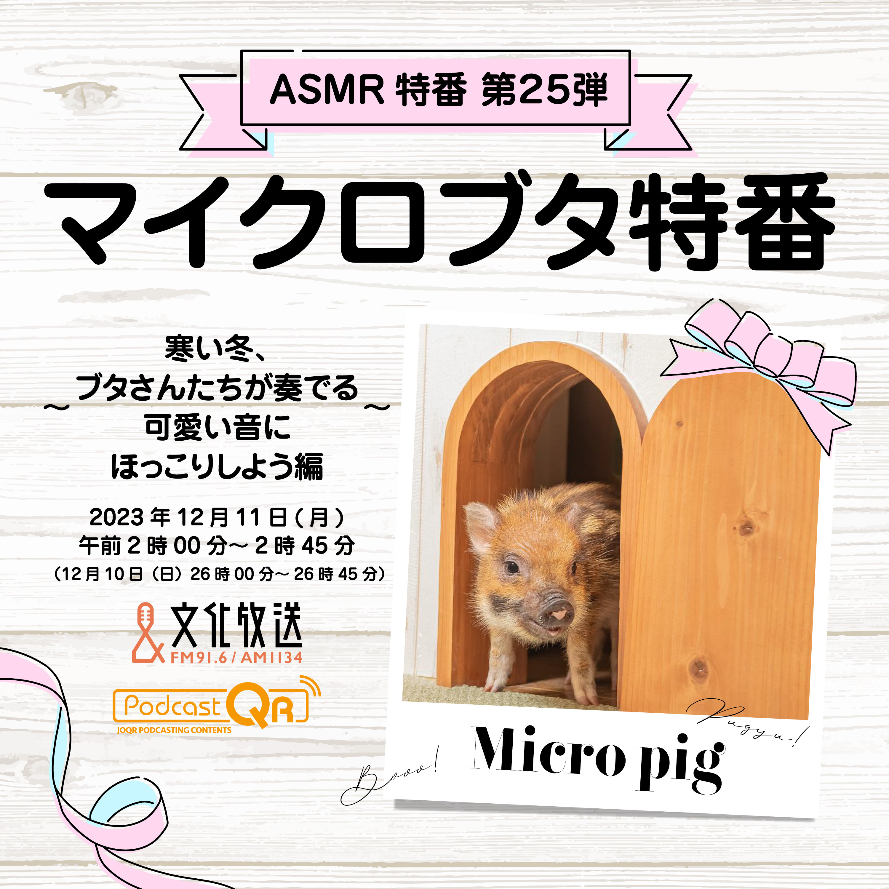 ASMR特番『マイクロブタ特番~寒い冬、ブタさんたちが奏でる可愛い音にほっこりしよう編~』を放送!