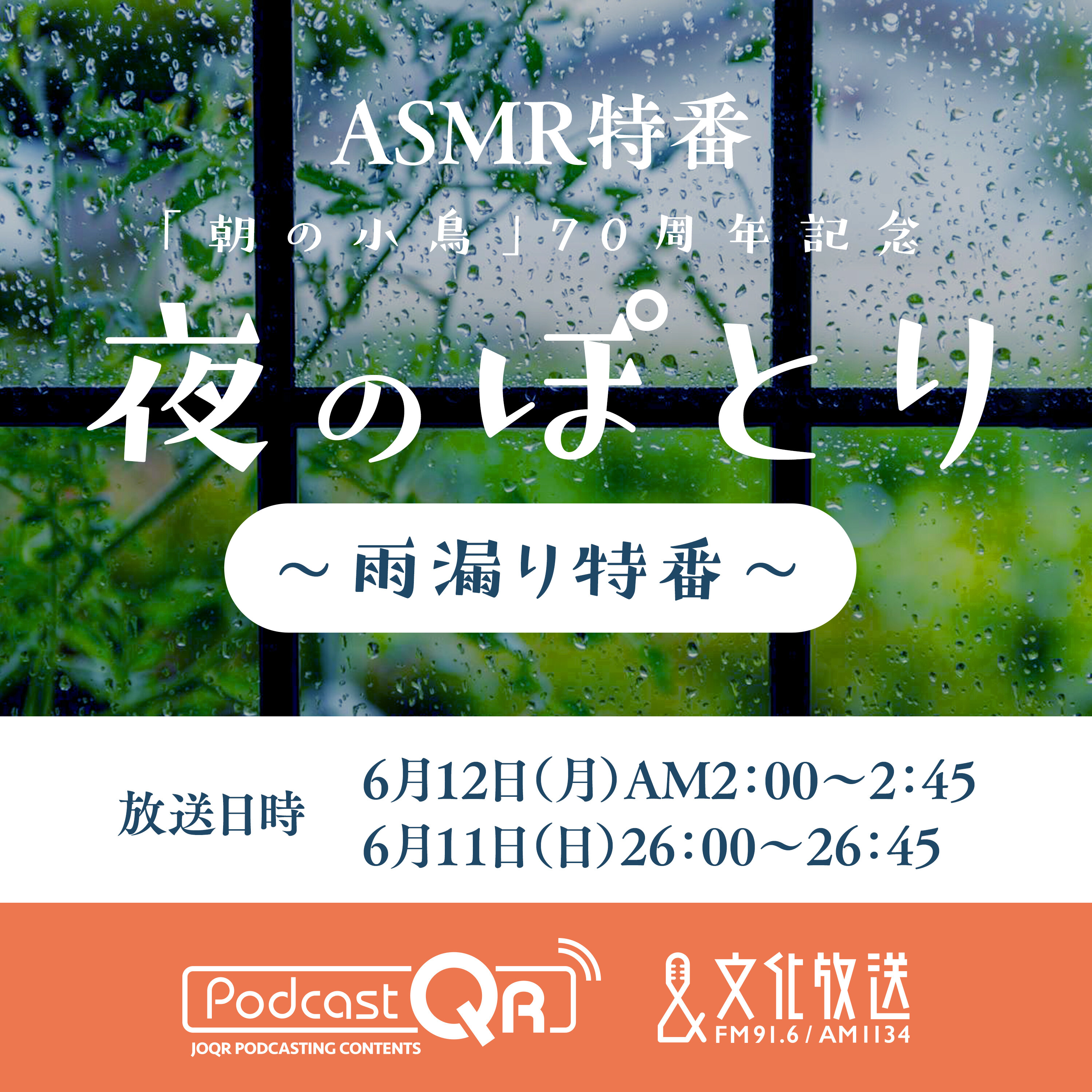 夜のぽとり~雨漏り特番~
