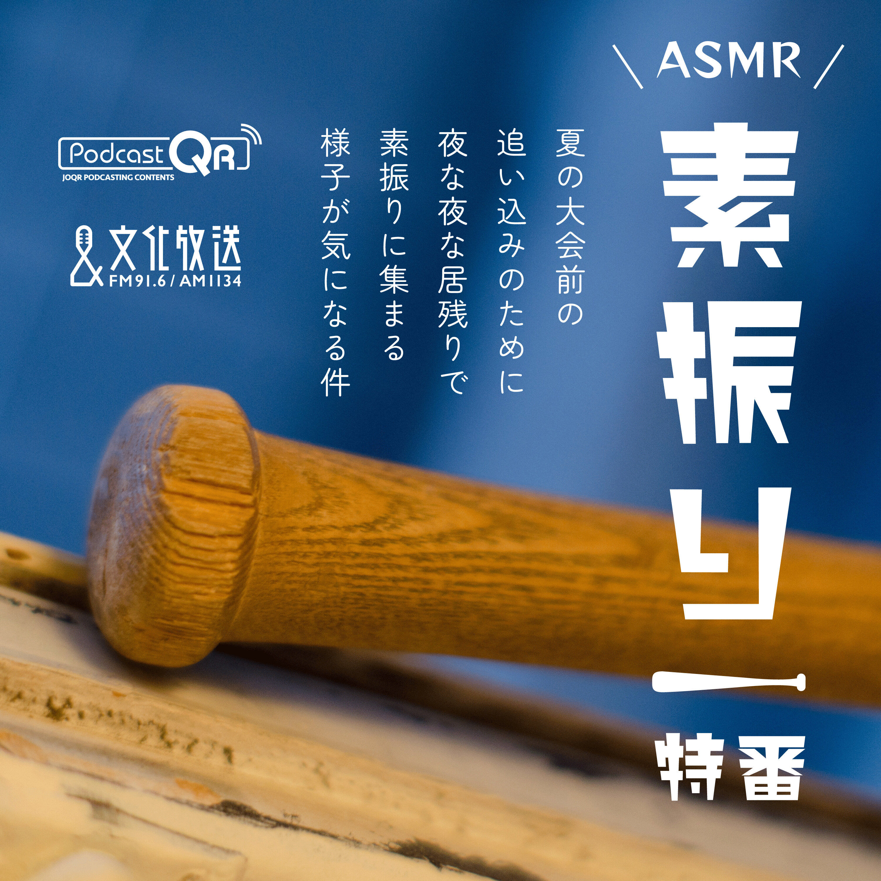 素振り特番~夏の大会前の追い込みのために夜な夜な居残りで素振りに集まる様子が気になる件~