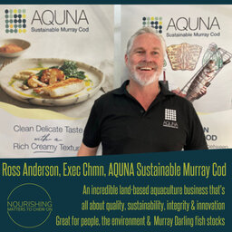 Ross Anderson, AQUNA Sustainable Murray Cod -  inspiring, land-based aquaculture