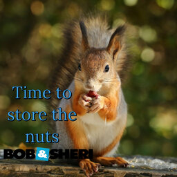 Time to Store the Nuts