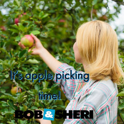 It's Apple Picking Time!
