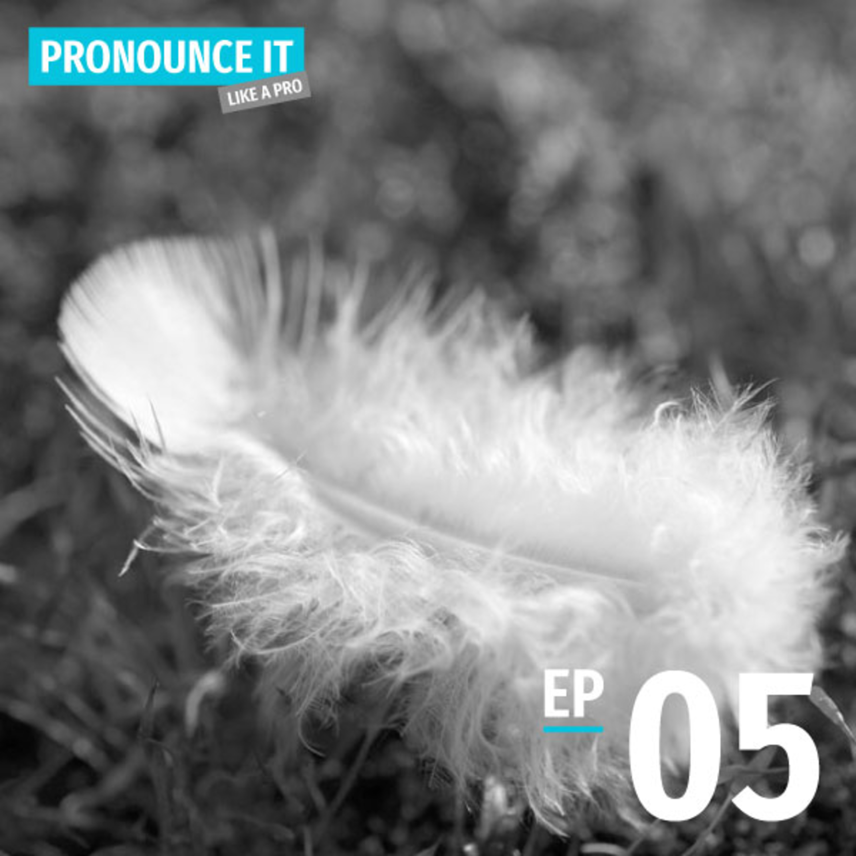 Pronounce it Like a Pro | Ep05: The Neutral Tone [Re-broadcast]