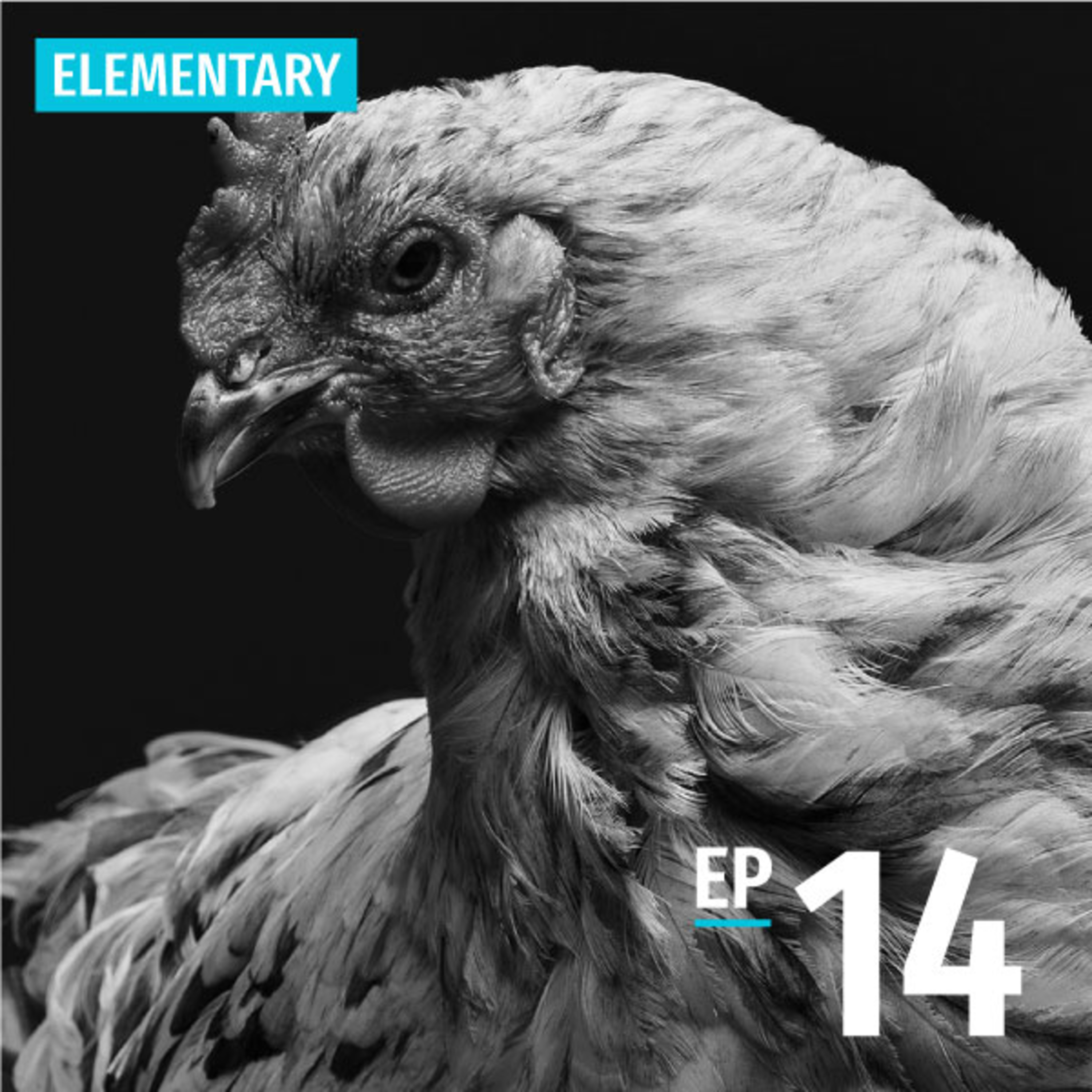 Ep14: End-of-Year Party | Tsia̍h bué-gê 食尾牙