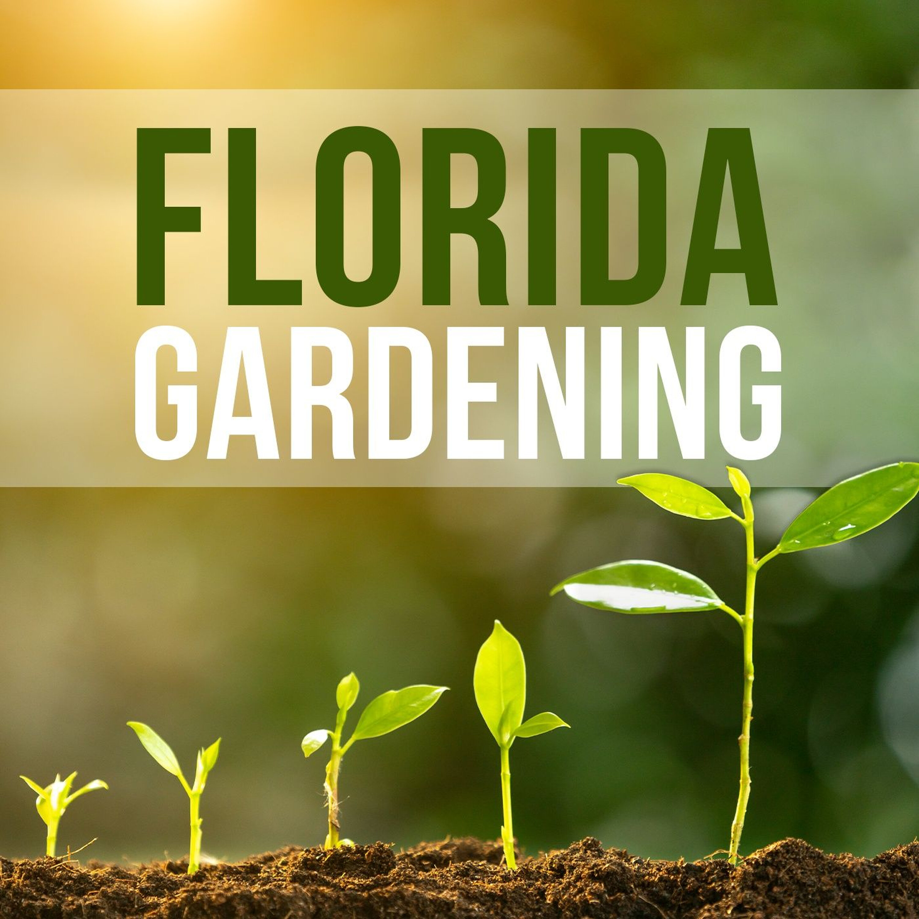 Florida Gardening with Urban Roots Garden Supply Pt.2 episode artwork