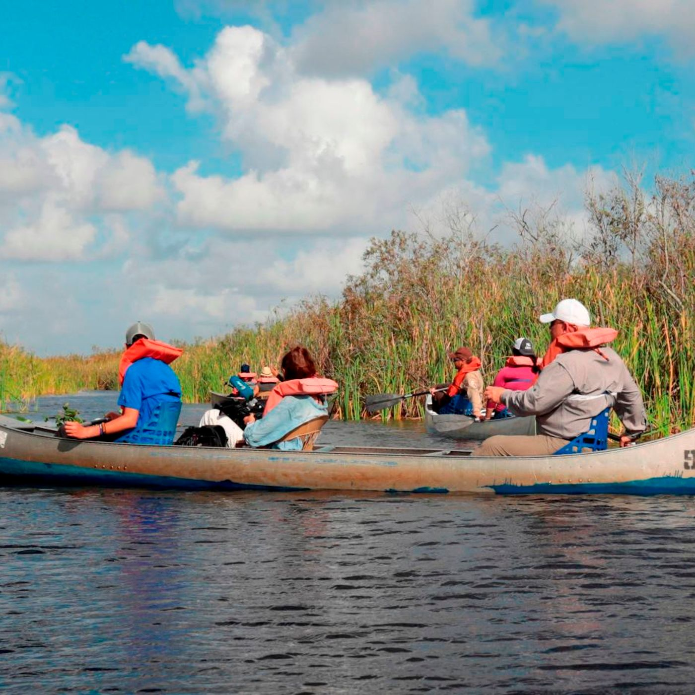 Alisa Coe Earthjustice on Florida Conservation Lawsuit
